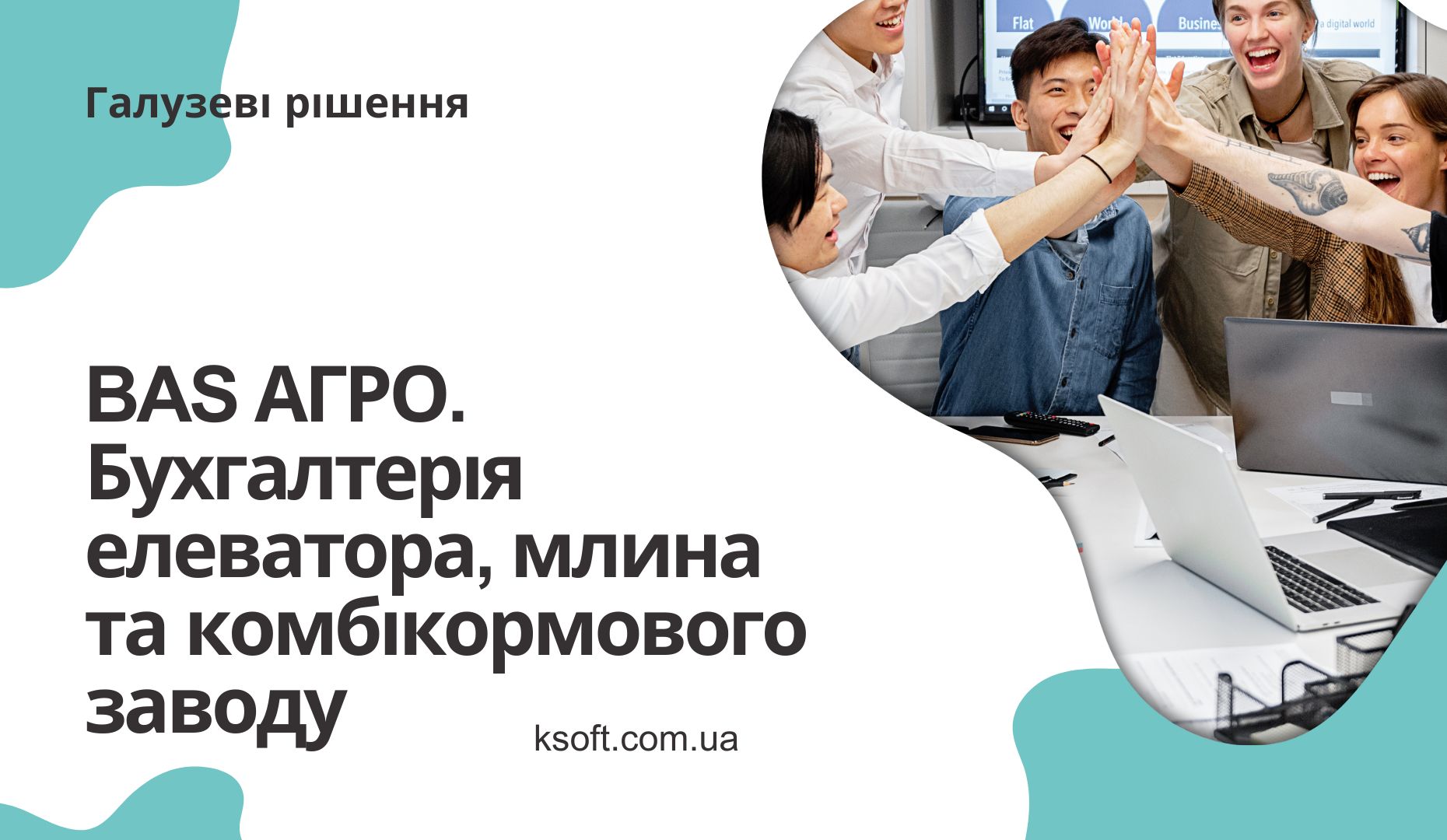 BAS АГРО. Бухгалтерія елеватора, млина і комбікормового заводу
